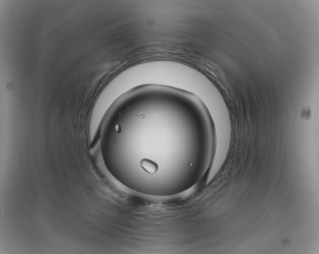 X0000097650423200803142114