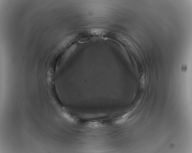 X0000097650424200803142114