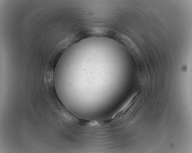 X0000097650425200803142114