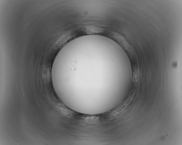 X0000097650426200803142114