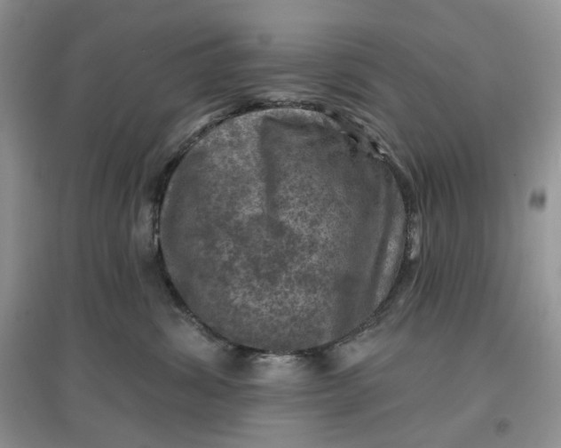 X0000097650428200803142114