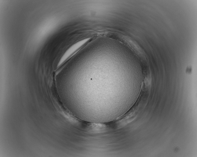 X0000097650429200803142114