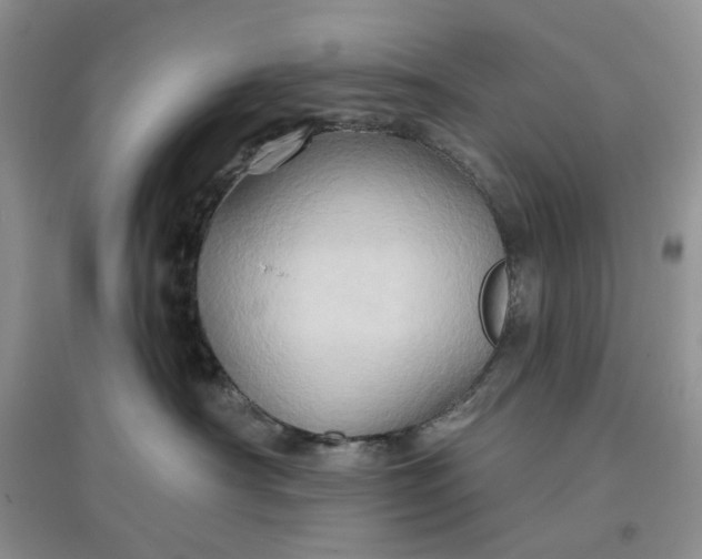 X0000097650430200803142114