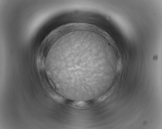 X0000097650431200803142114