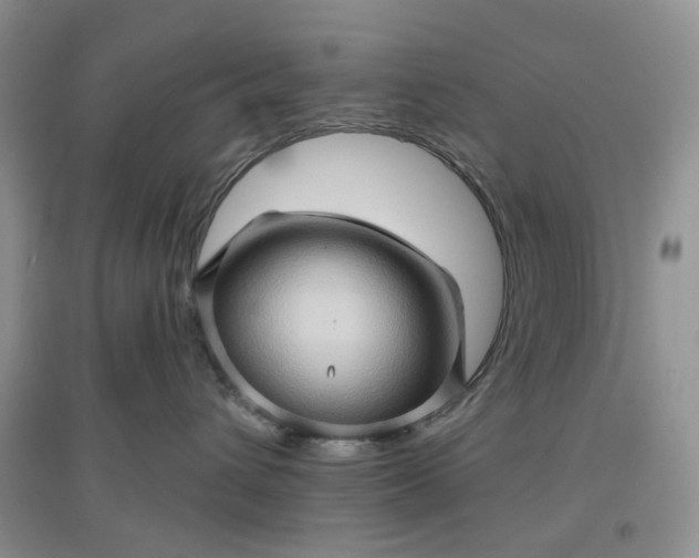 X0000097650432200803142114