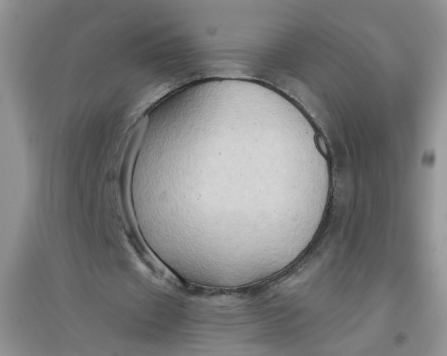 X0000097650433200803142113