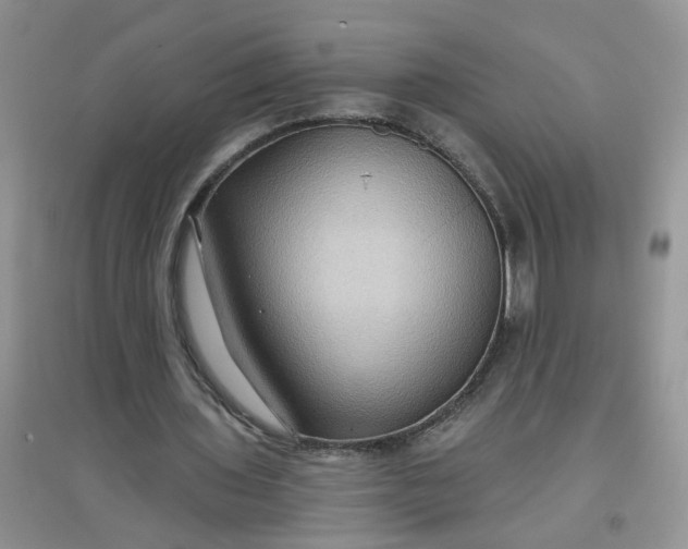 X0000097650435200803142113