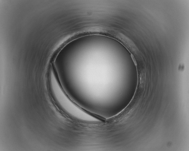 X0000097650436200803142113