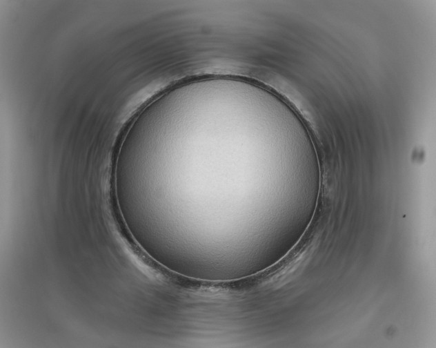 X0000097650437200803142113