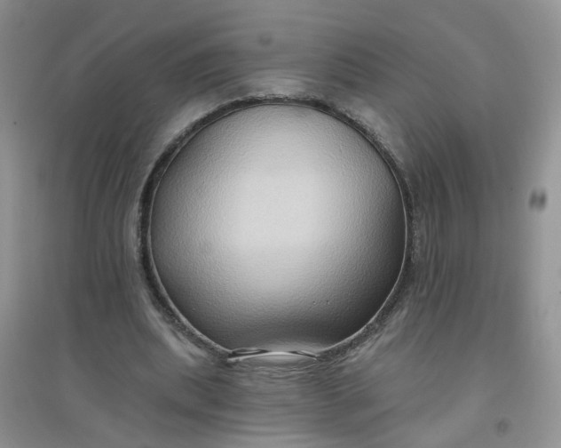 X0000097650439200803142113