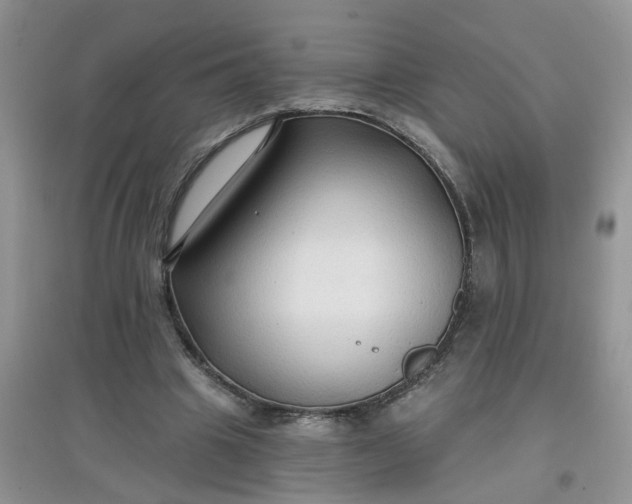 X0000097650441200803142113