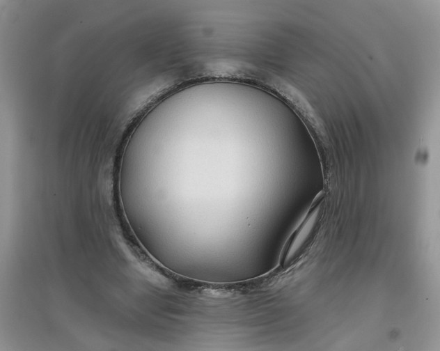 X0000097650442200803142113