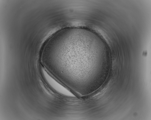 X0000097650443200803142113