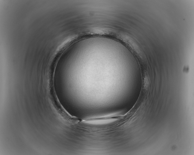 X0000097650444200803142113