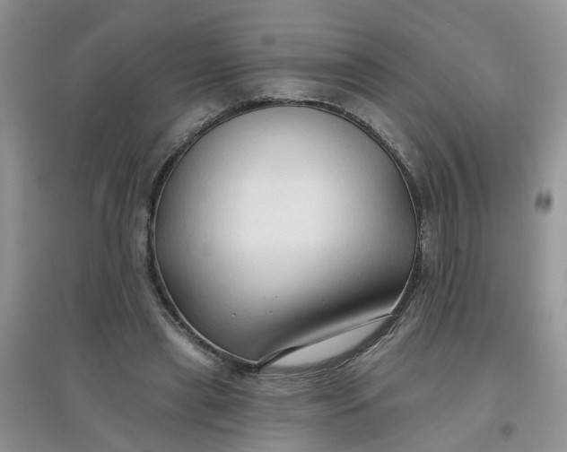 X0000097650445200803142113