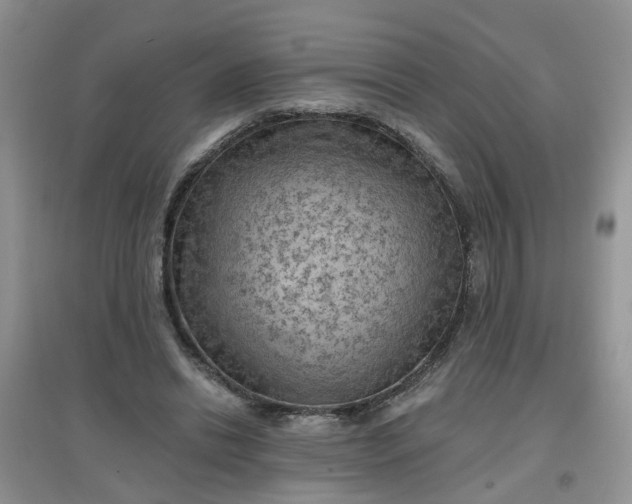 X0000097650446200803142113