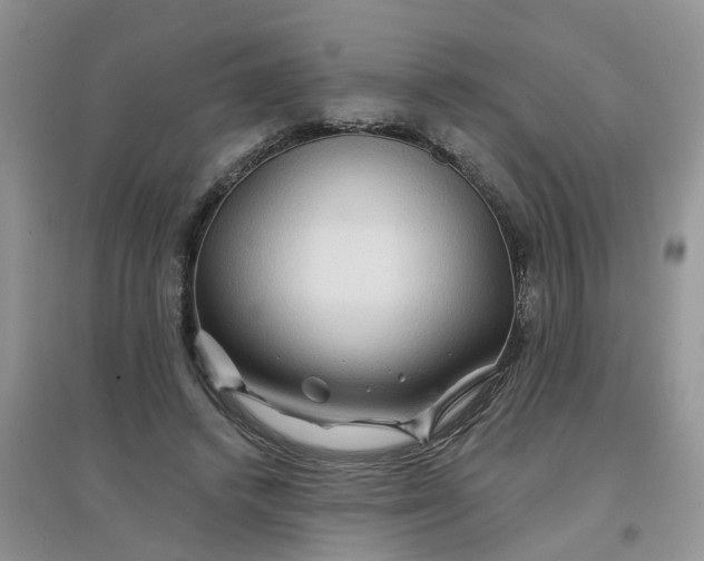 X0000097650448200803142113