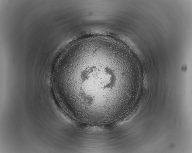 X0000097650449200803142113