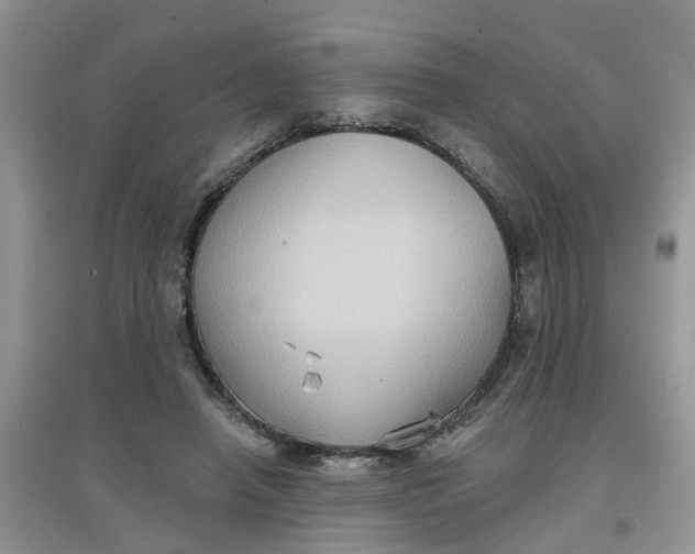 X0000097650450200803142113