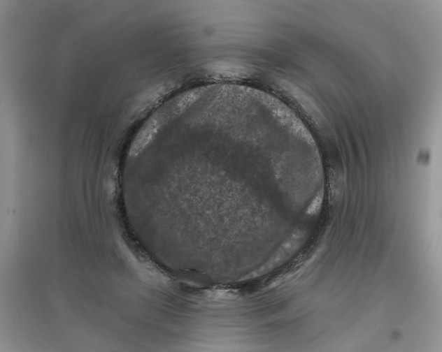 X0000097650451200803142113