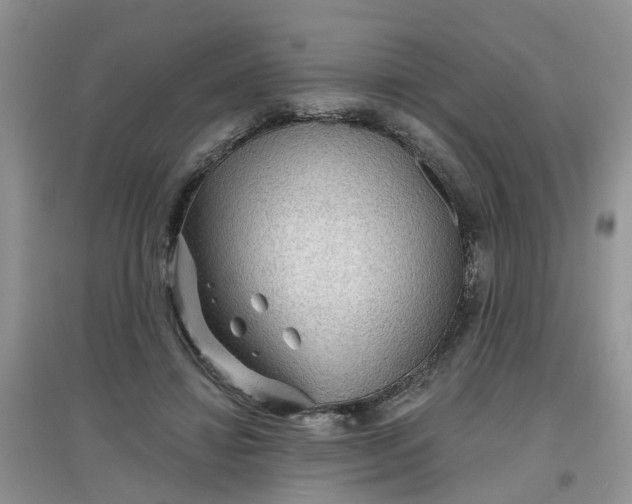 X0000097650452200803142113