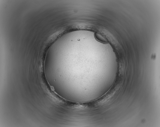 X0000097650453200803142113