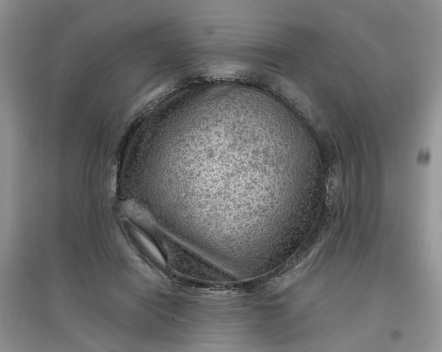 X0000097650454200803142113