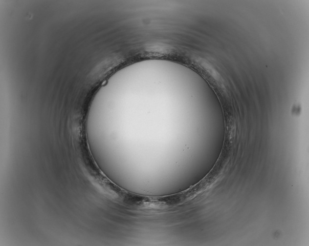 X0000097650455200803142114