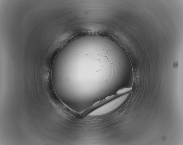 X0000097650456200803142114