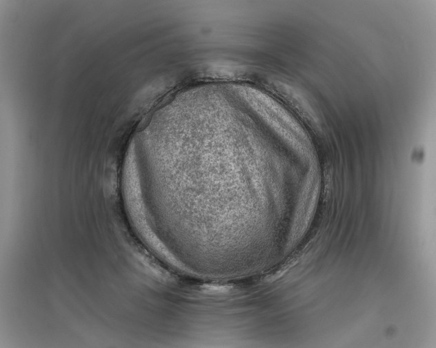 X0000097650457200803142114