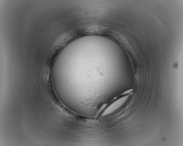 X0000097650458200803142114