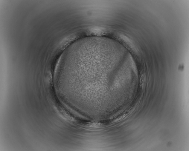 X0000097650459200803142114