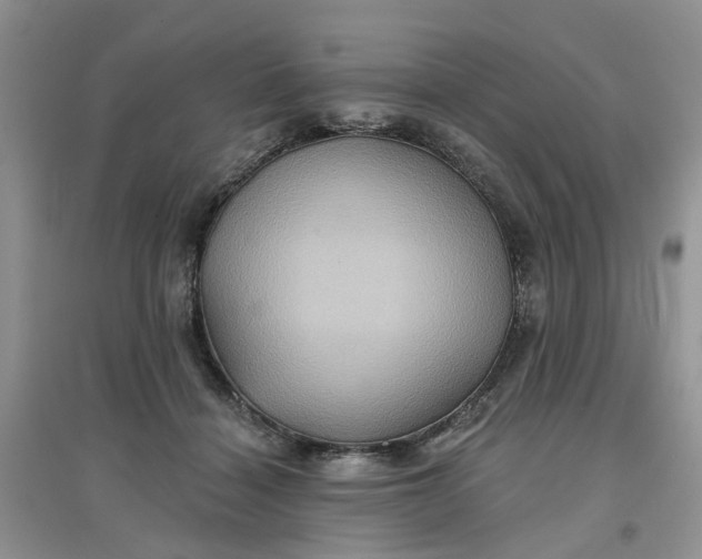 X0000097650460200803142114