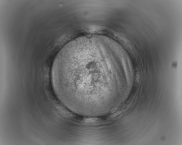 X0000097650461200803142114