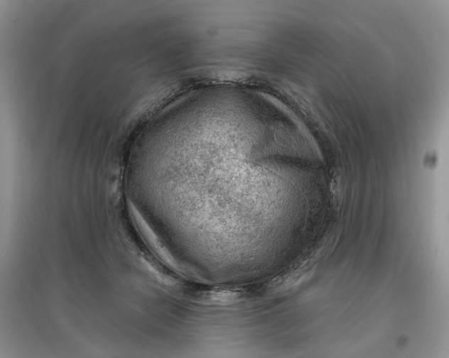 X0000097650462200803142114