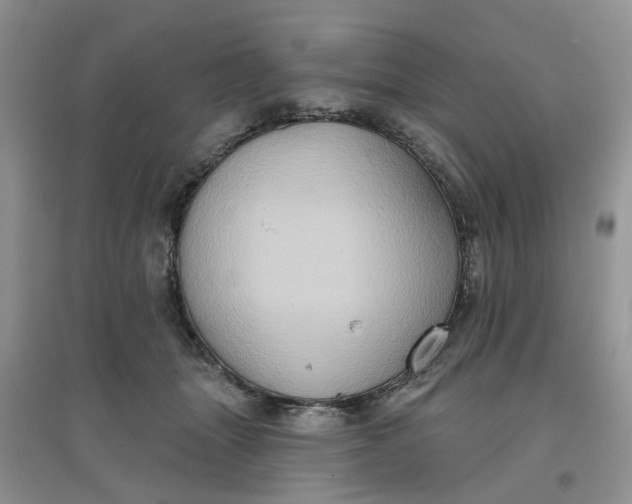 X0000097650463200803142114