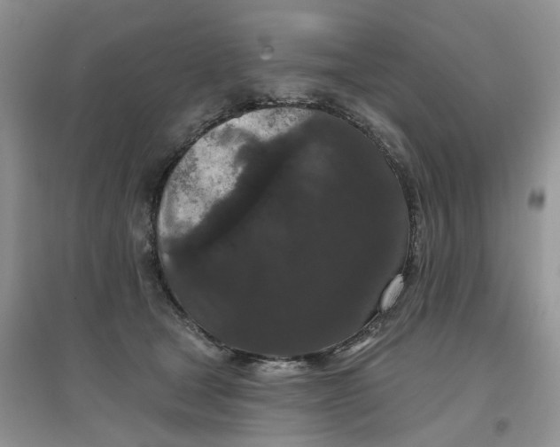 X0000097650465200803142114