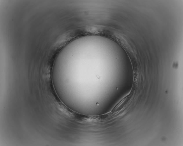 X0000097650466200803142114