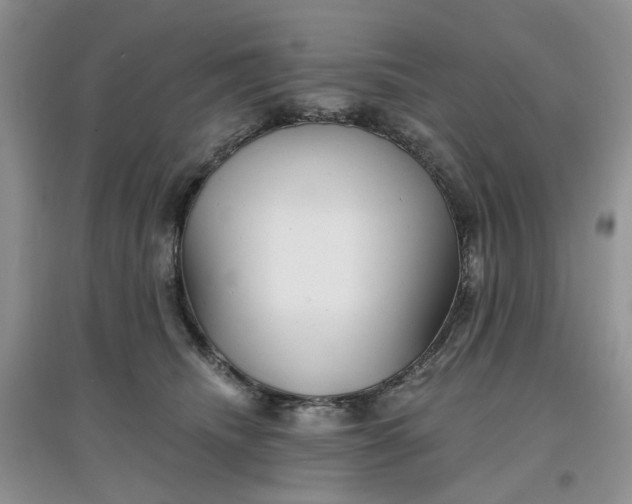 X0000097650468200803142114