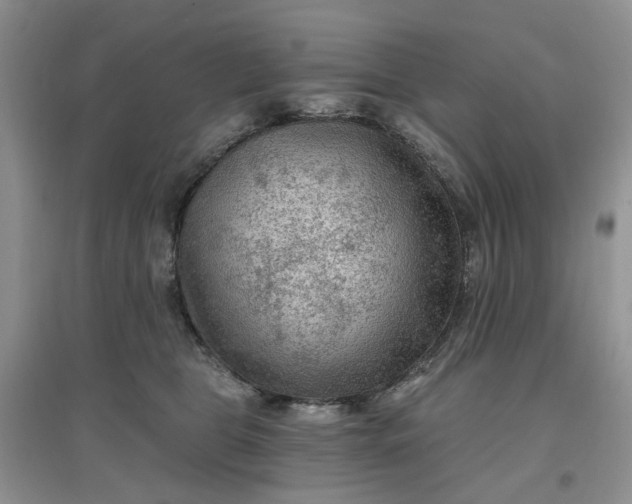 X0000097650469200803142114