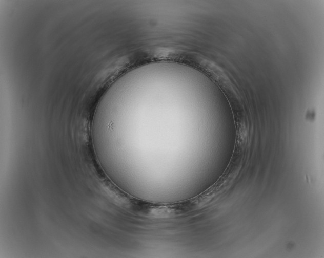 X0000097650470200803142114