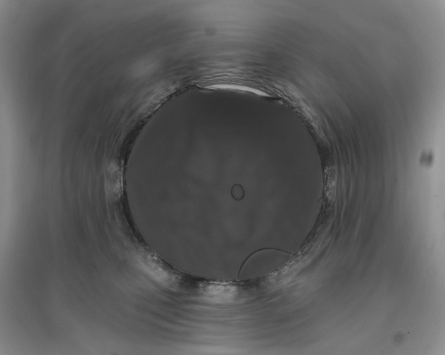 X0000097650471200803142114