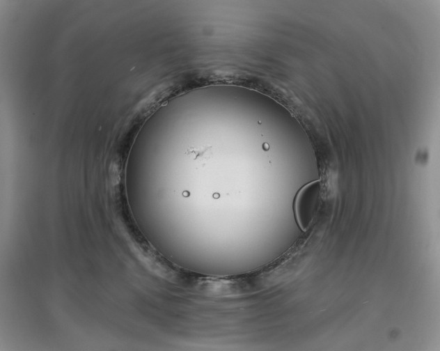 X0000097650472200803142114