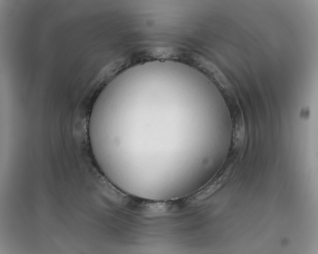 X0000097650473200803142114