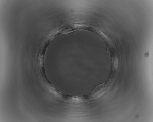 X0000097650475200803142114