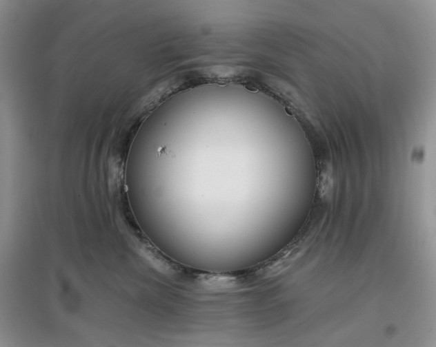 X0000097650476200803142114