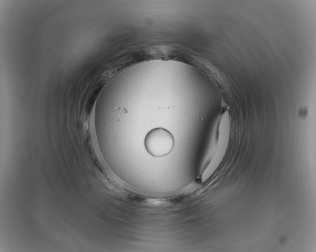 X0000097650477200803142114