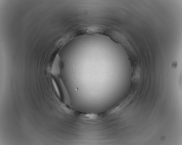 X0000097650478200803142114