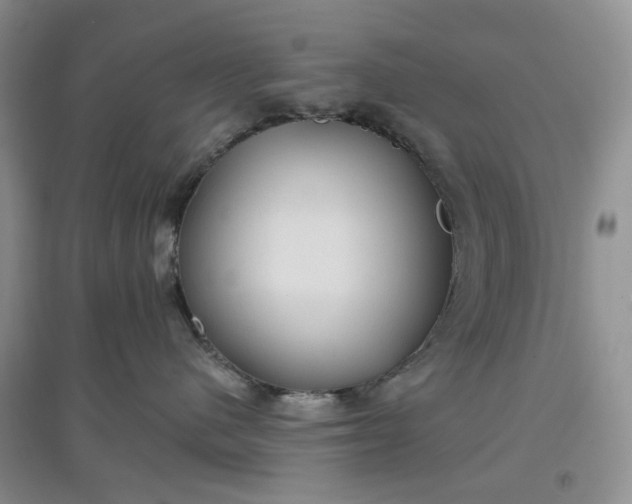 X0000097650480200803142114