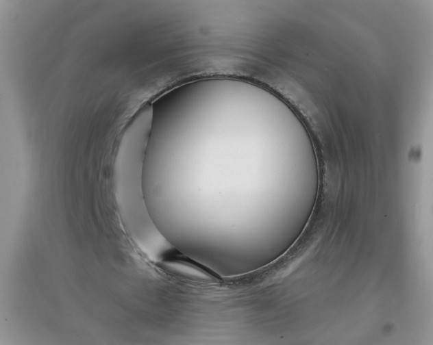 X0000097650481200803142113